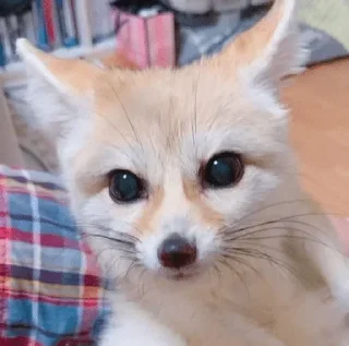 😮