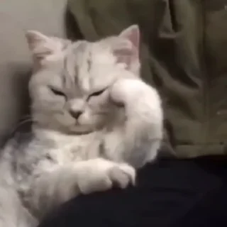 😒