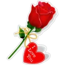 @LoveoopS : Flowers