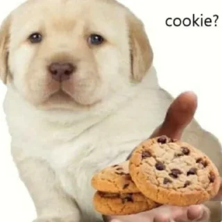 🍪
