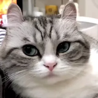 😐