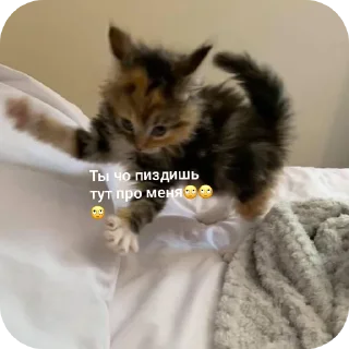 🙄