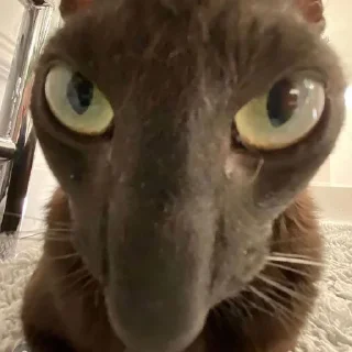 🤯