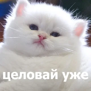 😗