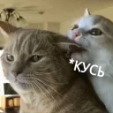 😙