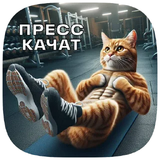 💪