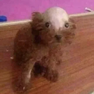 😳