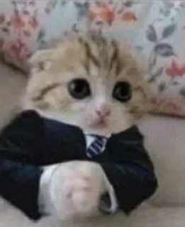 🤵‍♂