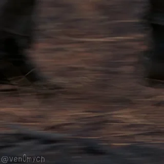 🚶‍♂️