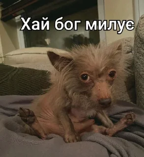 😐