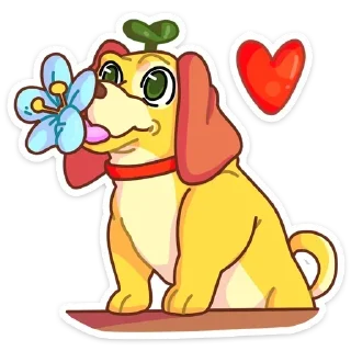 🌹