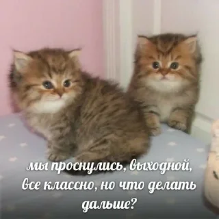 🥱
