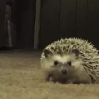 😱