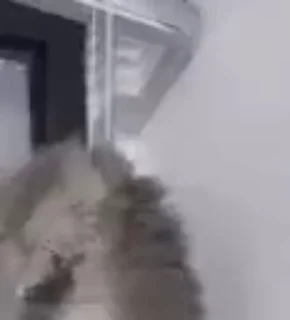 ⚰
