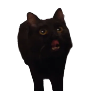 😋