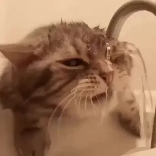 💦