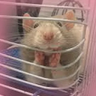 😘