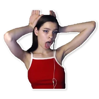 🐰